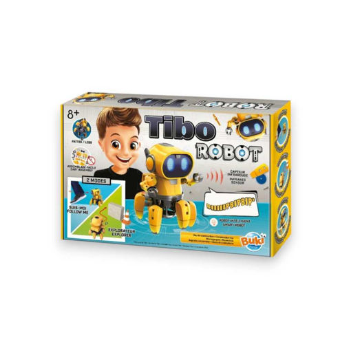 Picture of TIBO THE ROBOT